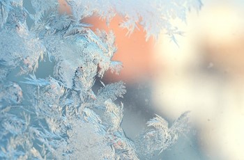 nature-frost-winter-seasons-window-glass-mood-bokeh-cold-freezing-photography-background-164717.jpg